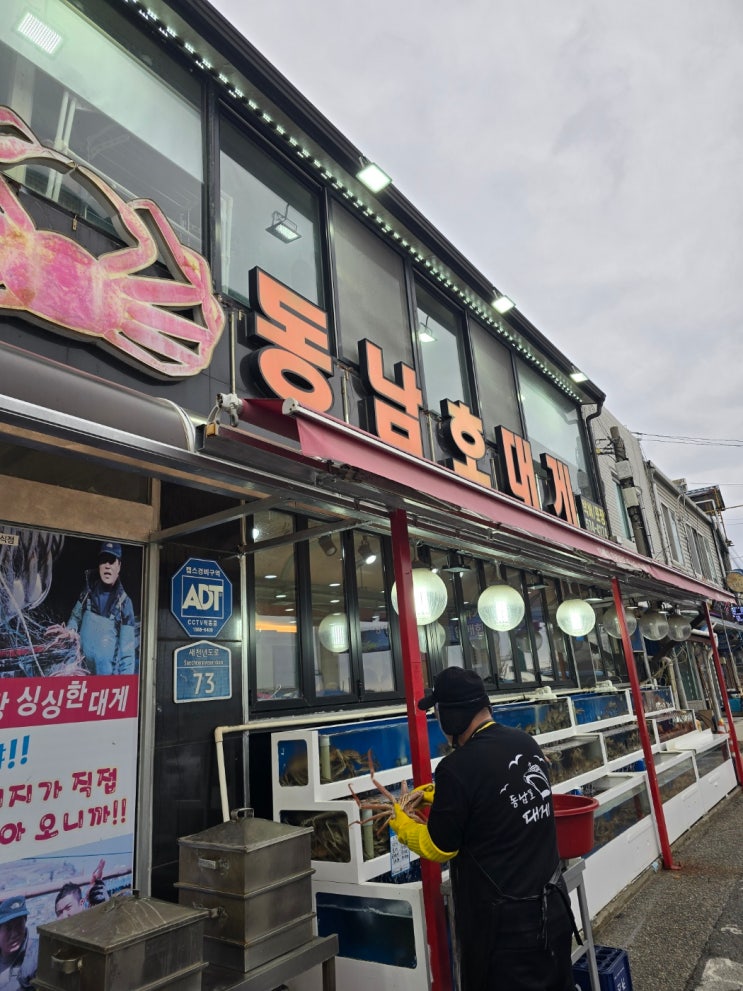 [동남호대게]삼척 현지인 추천 대게 맛집 동남호대게 내돈내산 리얼 후기 (살수율 체크 필수)