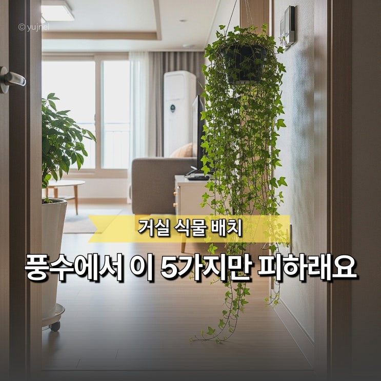  "화분을 거기에 두셨다고요..?" 거실 식물 배치 풍수 5가지만 피해주세요