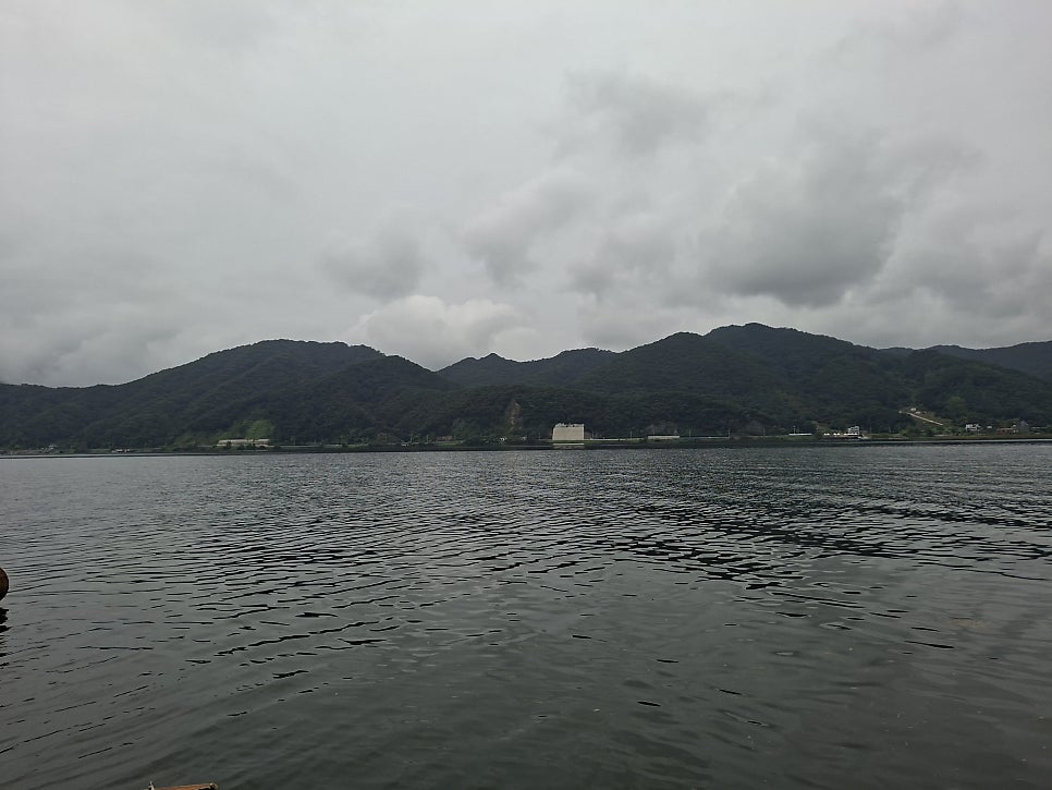 선차이 사진 4
