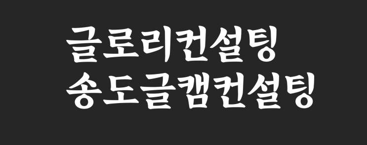  송도 글벌캠퍼스 입시, 혼자 준비하면 늦습니다- 글로리컨설팅