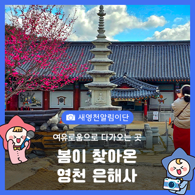 봄이 성큼 다가온 영천 은해사(수림장)