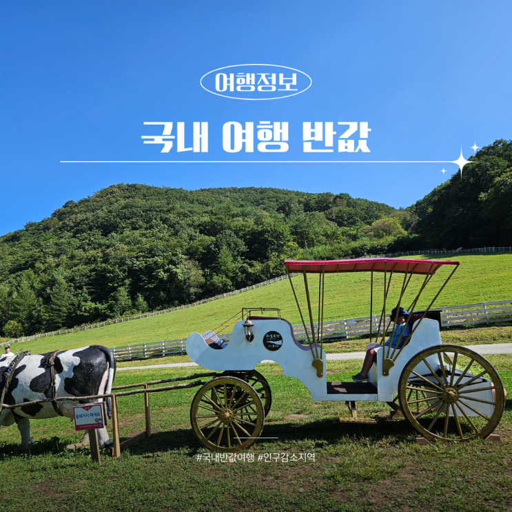  2026 국내반값여행 4월부터 지원금받고 떠나자