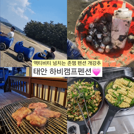  태안여행 하비캠프펜션 갯벌해루질체험 깡통열차 ATV 가능한 존잼 숙소