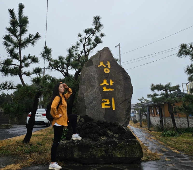 사진 9