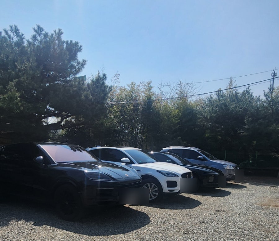 돈참새미 사진 2