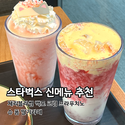  스타벅스 신메뉴 체리블라썸 백도 크림 프라푸치노 슈 폼 딸기라떼