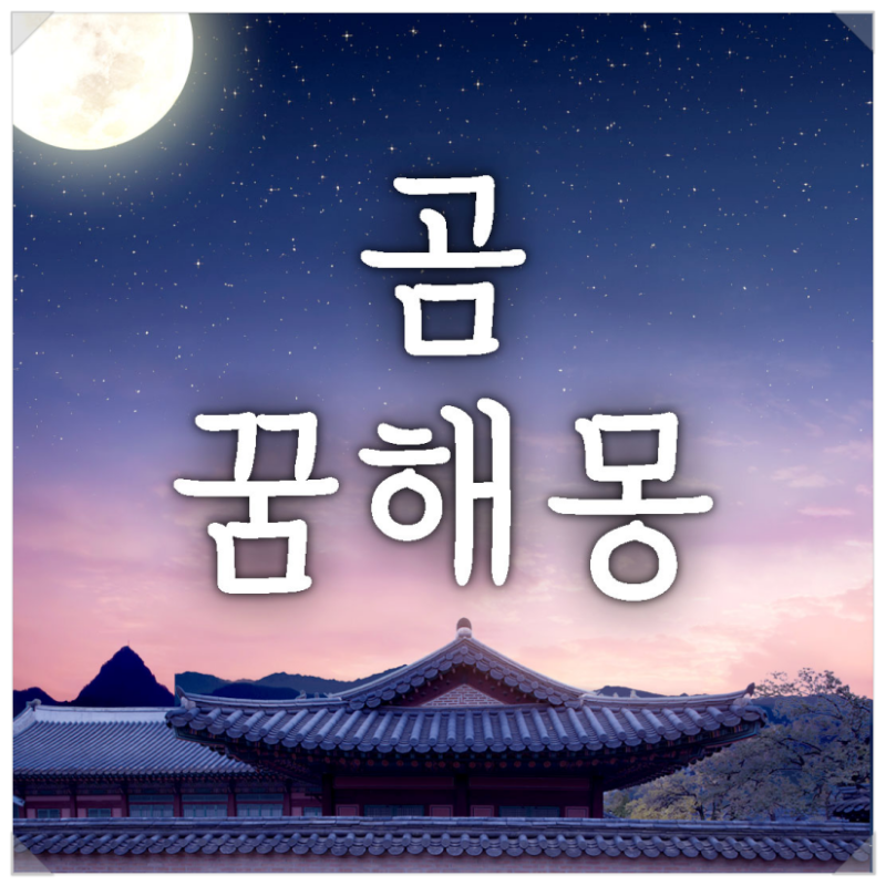 곰꿈해몽 곰나오는꿈 곰보는꿈