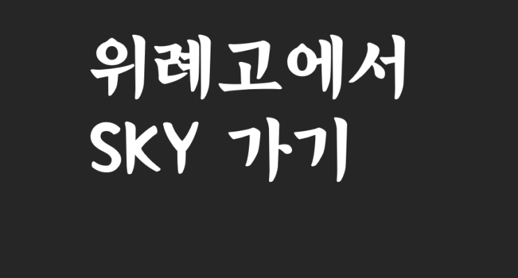  “위례고에서 SKY 가는 길, 내신이 아니라 ‘전략’이 갈라놓는다”