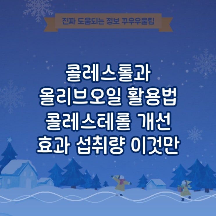  콜레스테롤과 올리브오일 활용법 콜레스테롤 개선 효과 섭취량 이것만 알면 당신도 전문가