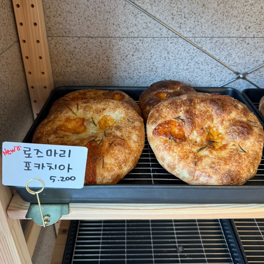 달밀 사진 6
