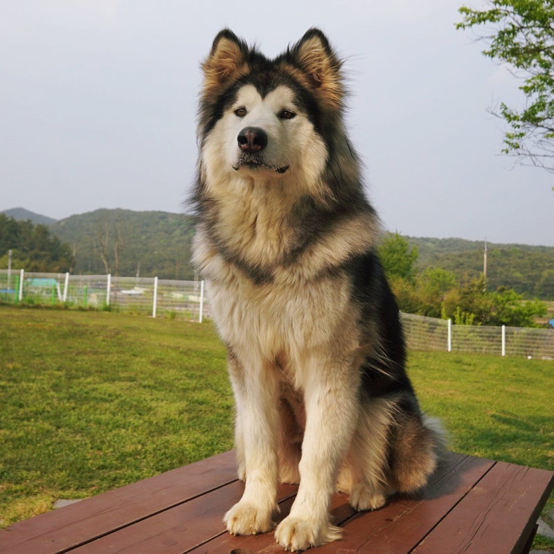 사진 5