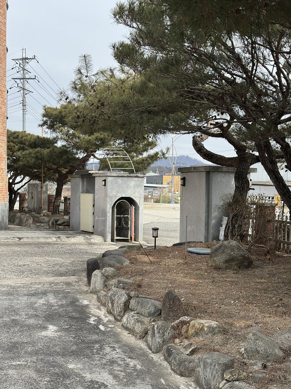 담소원 사진 2