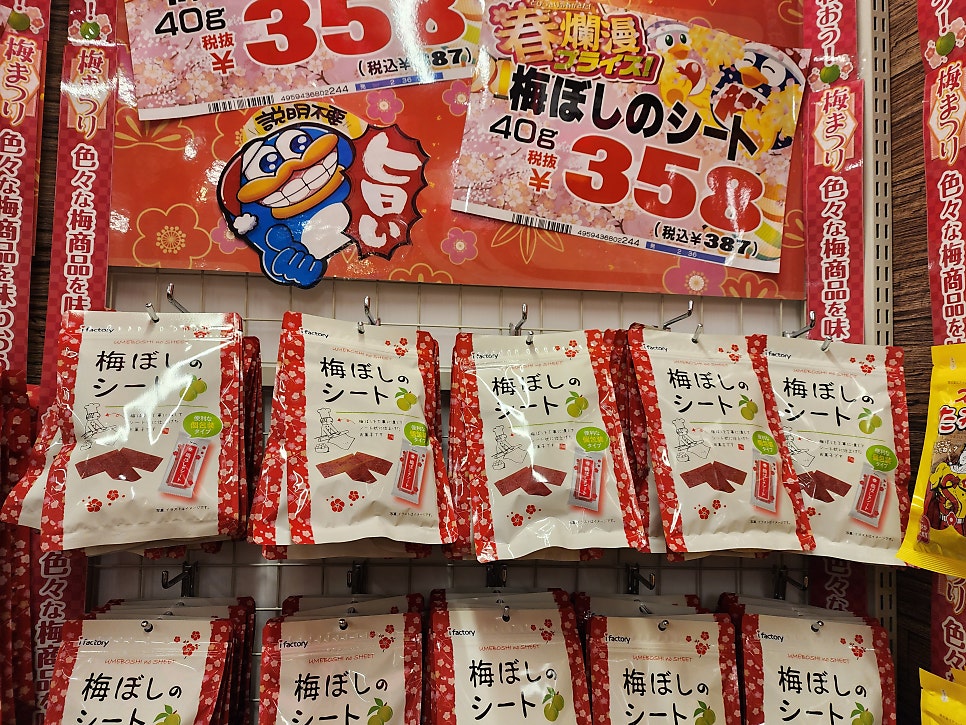 일본 도쿄 돈키호테 쇼핑리스트 추천 시부야 메가 돈키 할인쿠폰