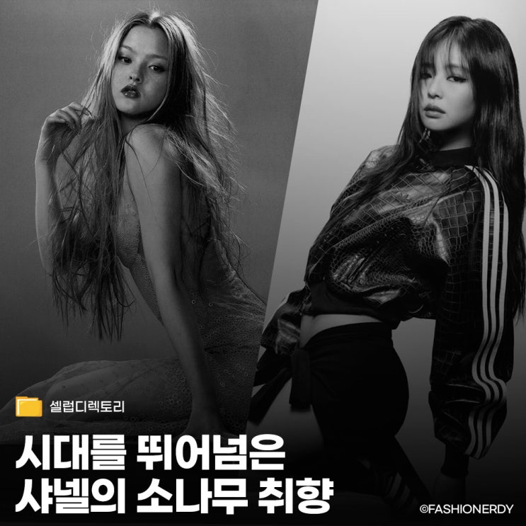  샤넬을 점령한 고양이상 평행이론 데본 아오키 VS 제니