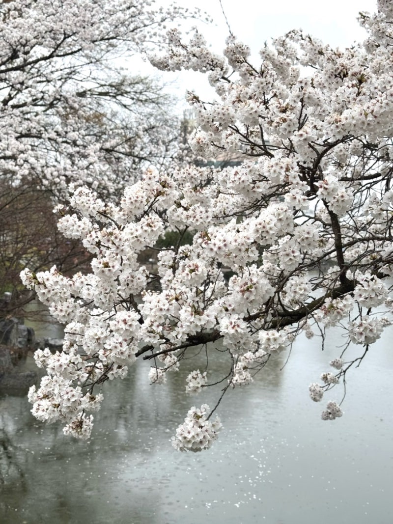 사진 3