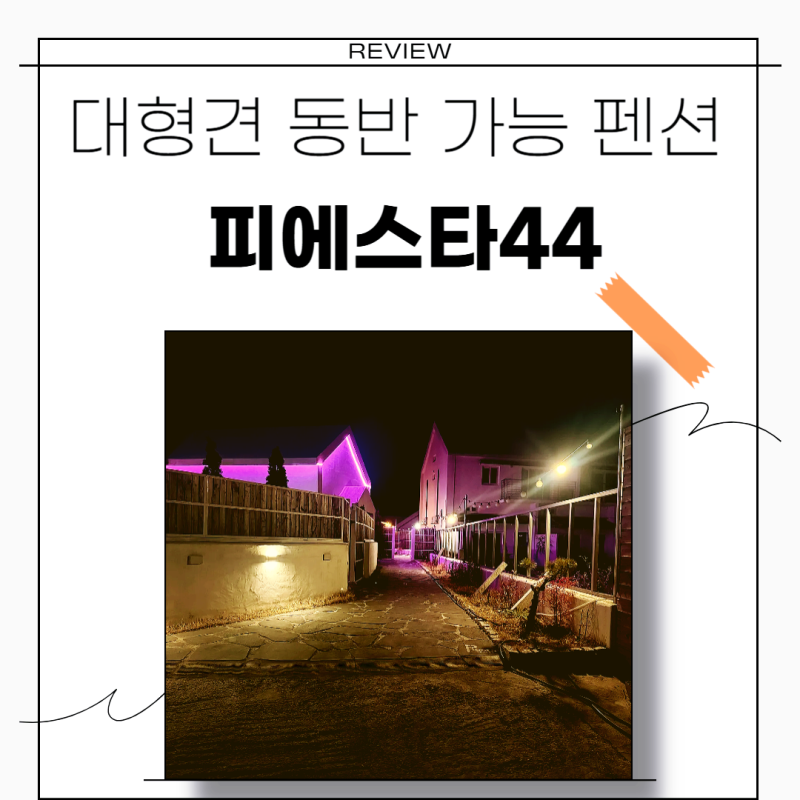 사진 4