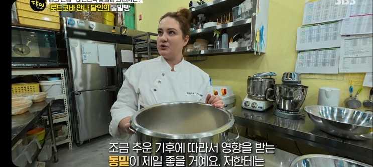  생활의달인 1023회 식당 순천찹쌀떡달인 경산 진량빙그레찹쌀떡 부산 미슐랭 진돼지곰탕집 통밀빵 우승집 광화문 주먹밥달인 고코