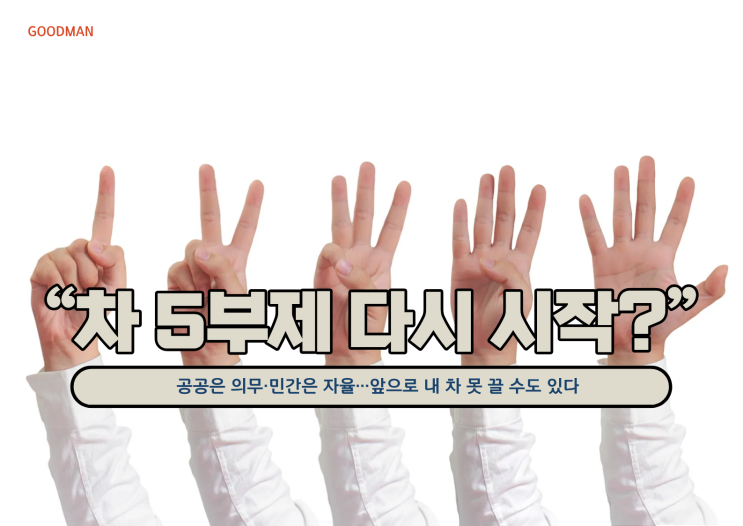  “차 5부제 다시 시작?” 공공은 의무·민간은 자율…앞으로 내 차 못 끌 수도 있다