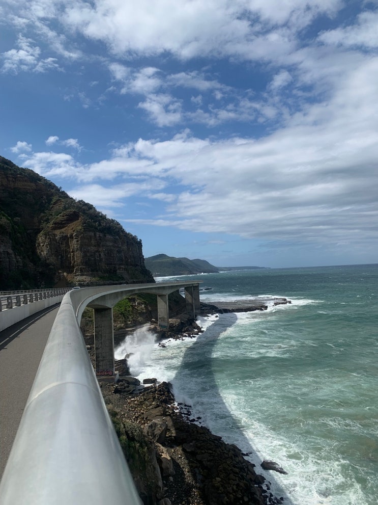  호주-3일차 쵸바니그릭요거트 크루아상 콜스 알디 식스트렌터카 Sea Cliff Bridge Vitaly Italian  Quarterdeck