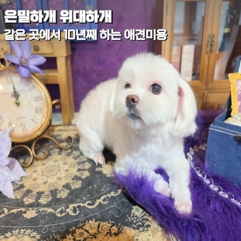 사진 3