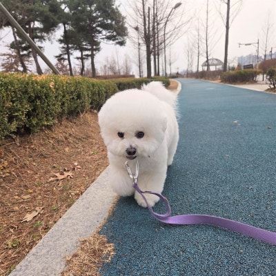 사진 2
