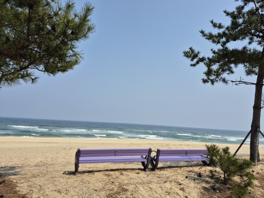 수향 사진 6