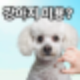 강남강아지미용, 견종 별 모질 이해부터