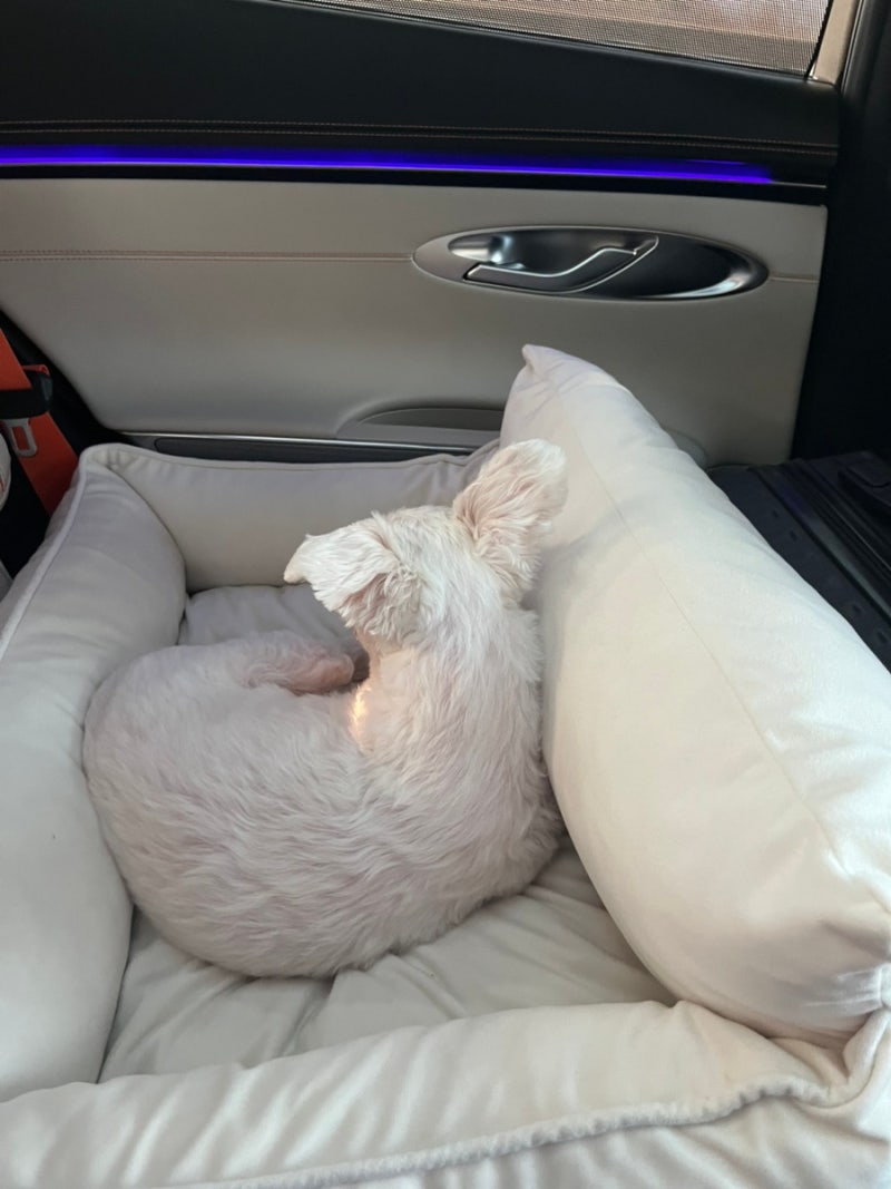 사진 8