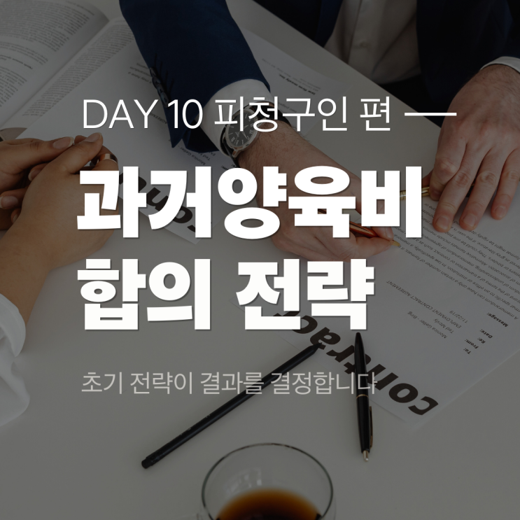  [피청구인 편 5] 과거 양육비 소송 대응, 초기 전략이 결과를 결정합니다