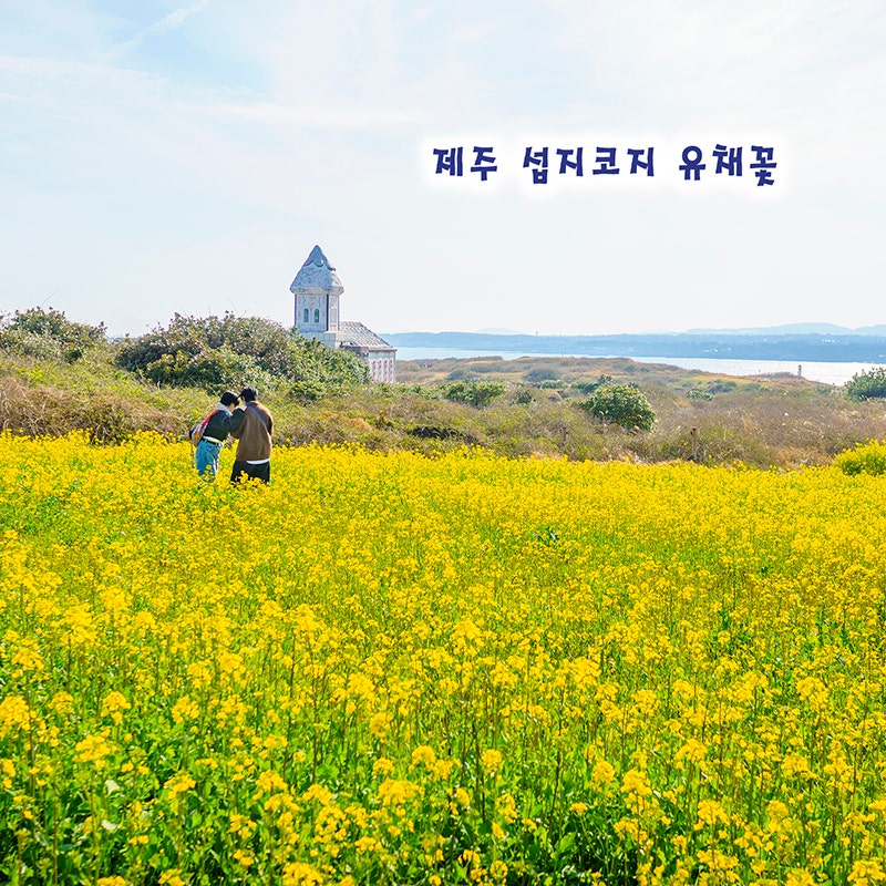 사진 7