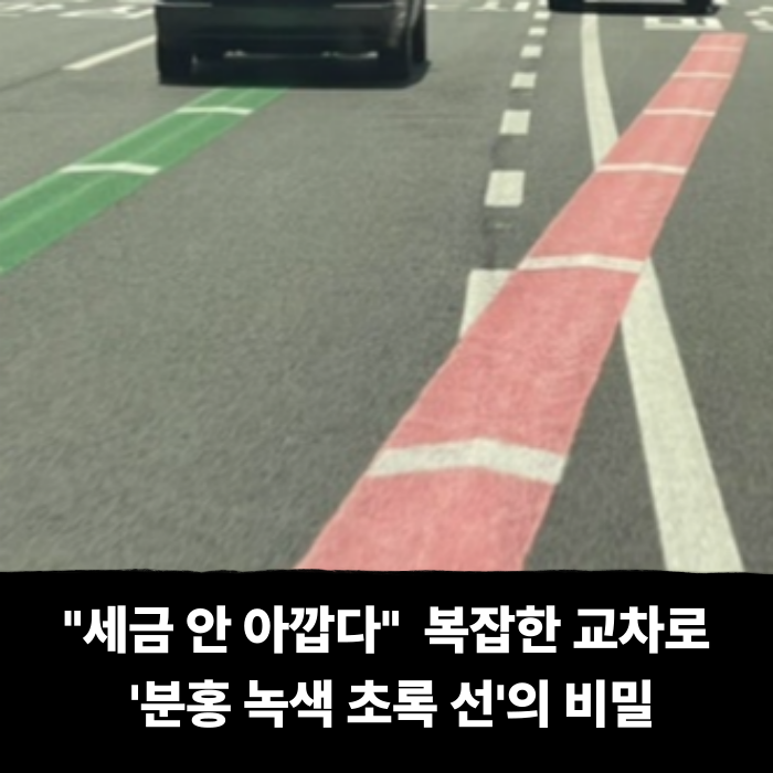  "세금 안 아깝다" 소리 절로.. 복잡한 교차로 '분홍 녹색 초록 선'의 비밀