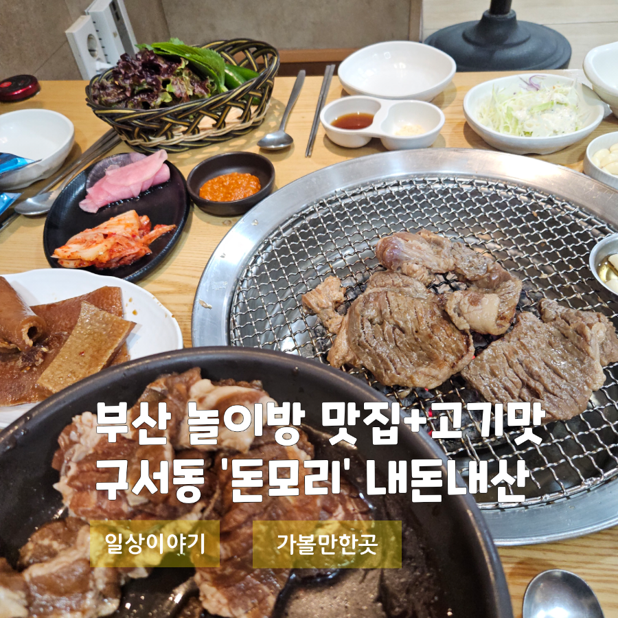돈모리 사진 1