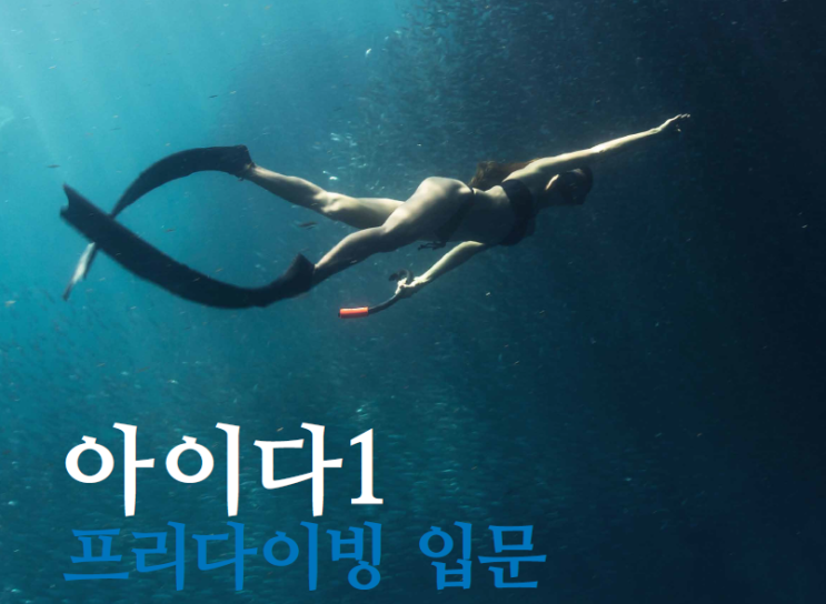  AIDA 1 (아이다1 입문 체험 레벨 프리다이버) 교육 과정 소개
