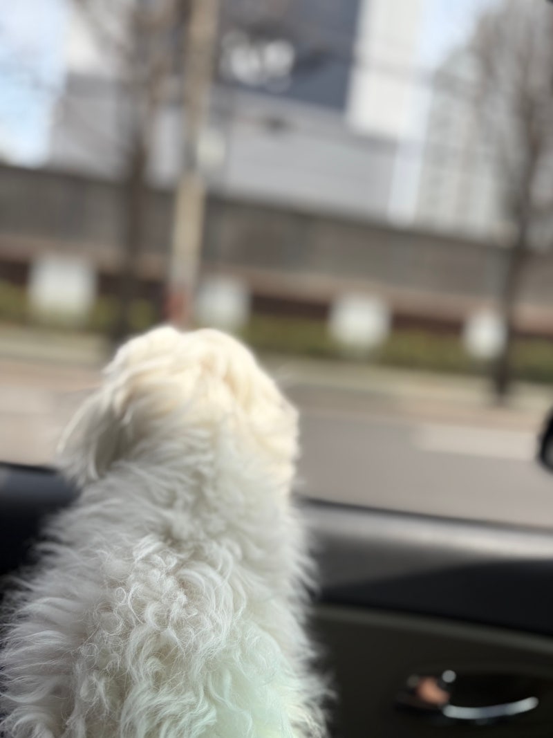 사진 7