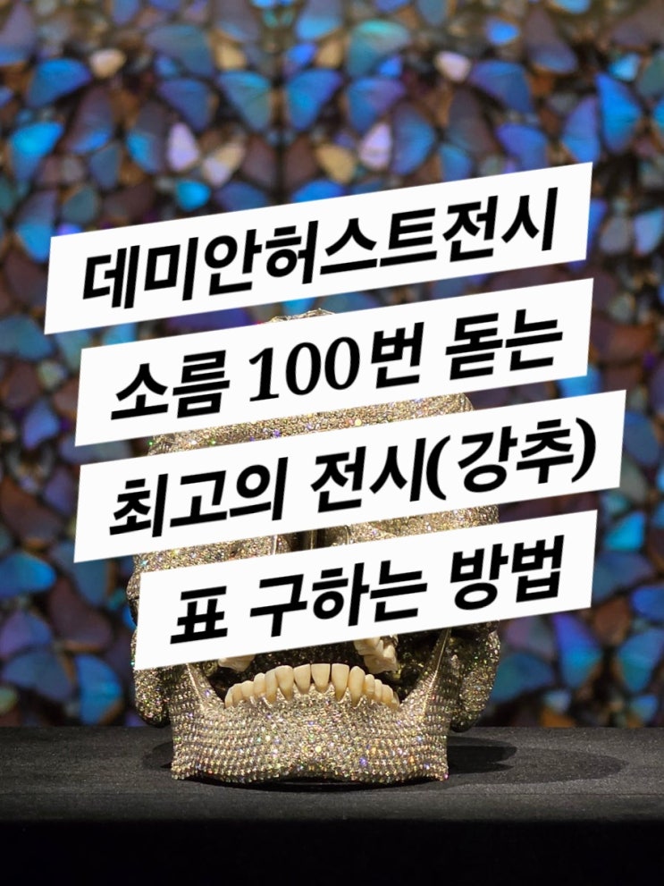  데미안허스트 전시 강추(인생의 큰 숙제를 끝냈다)