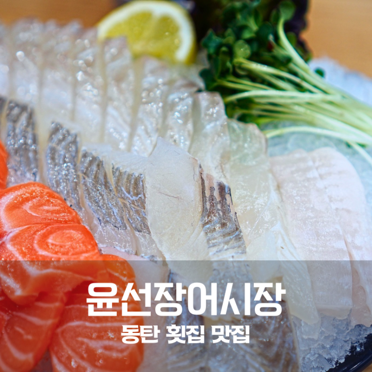  동탄 북광장 횟집 윤선장어시장 모둠회 푸짐했던 동탄 횟집 맛집