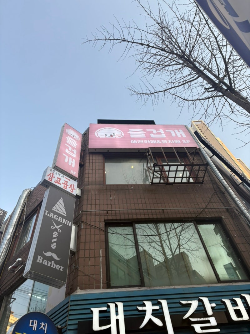사진 5