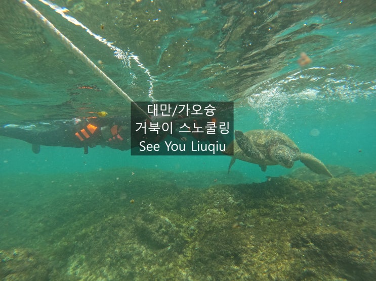  대만 가오슝  거북이스노쿨링 업체 장비청결 See You Liuqiu 소류구 스노쿨링 추천 _ 내돈내산