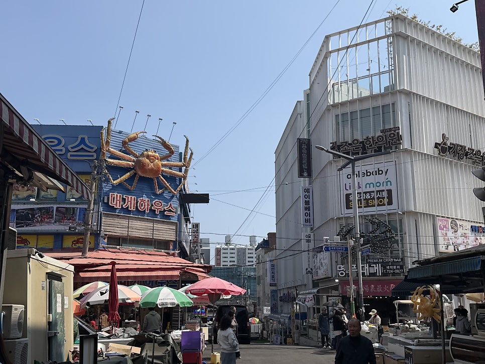 싱싱대게 사진 1