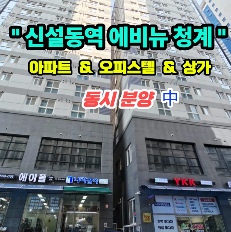  신설동역 에비뉴 청계 1·2차 아파트·오피스텔·상가, 직접 가보고 판단이 달라진 이유
