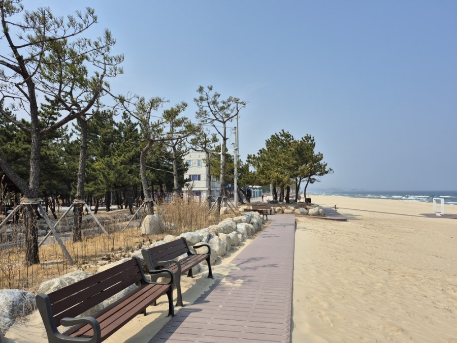 수향 사진 5