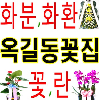 키키자케시 사진 4