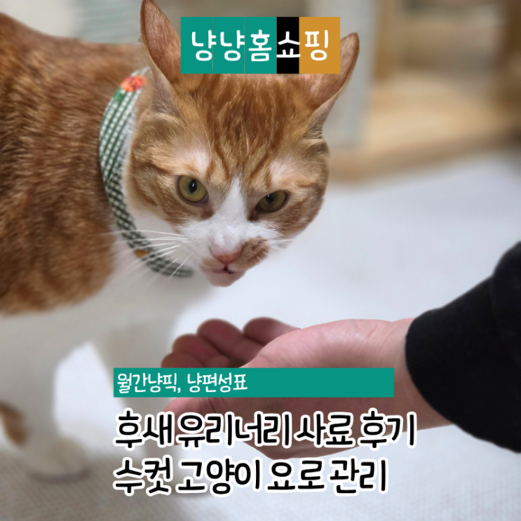  유리너리 고양이사료추천 후새 사료 요로결석 방광염 관리 후기