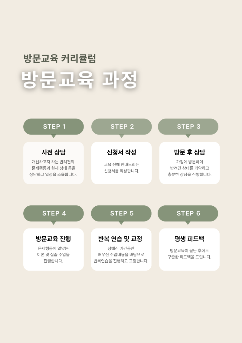 사진 6