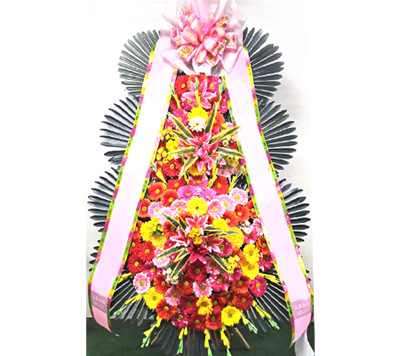 키키자케시 사진 1