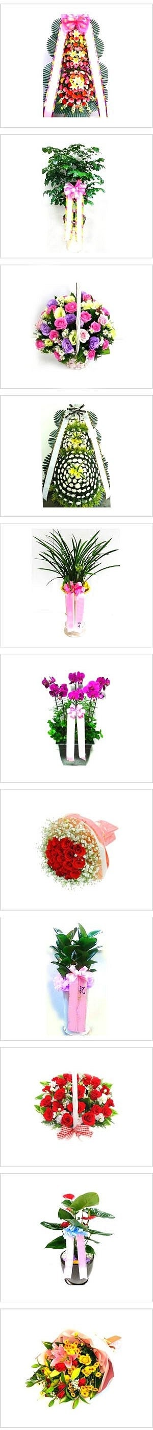 키키자케시 사진 3