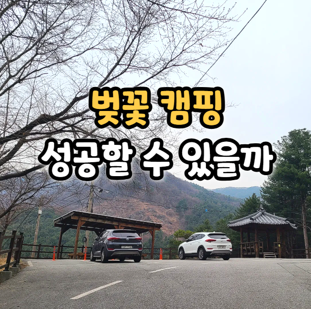  요즘 캠핑 날짜 잡기 어려워진 이유
