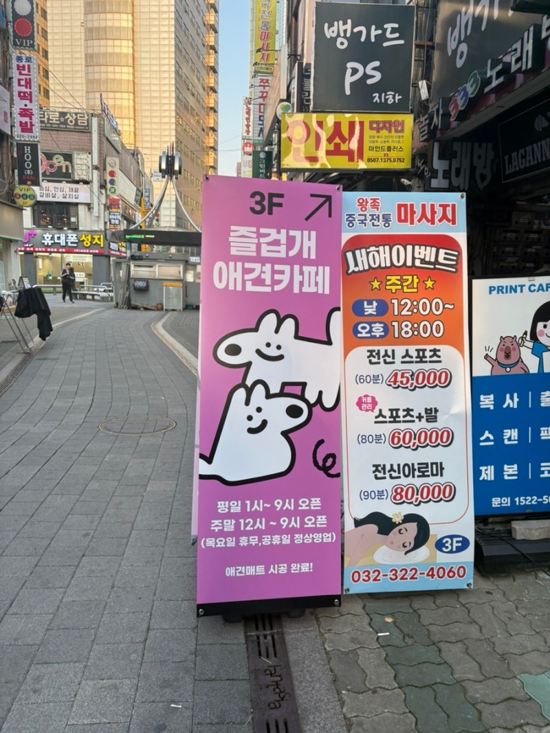 사진 6