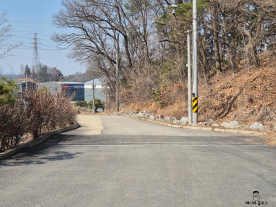 사진 6
