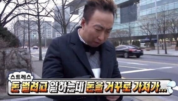 매화전 사진 1
